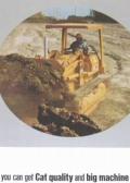 Caterpillar