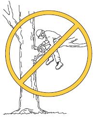 Come NON usare la motosega...