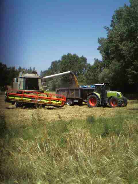 claas lexion 530 montana e ares 657 di san64