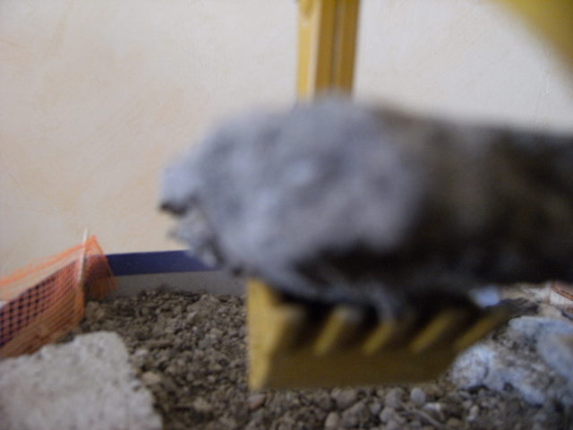 GIORNATA IN CANTIERE