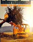International