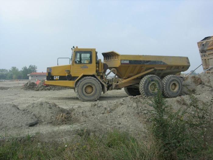 cat d300d