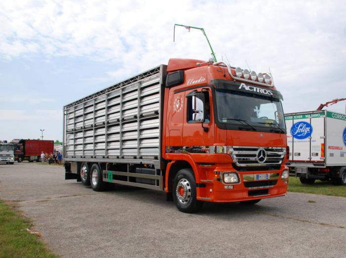 Il Ritorno del porta Polli con nuove modifiche