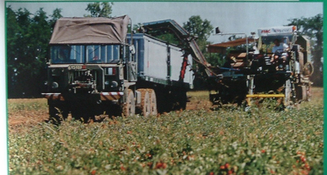 Trattore militare in campo