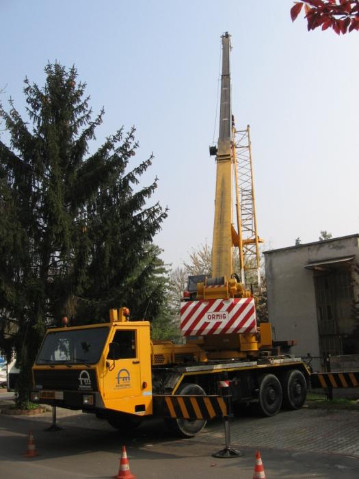 Ormig Fernando Marta