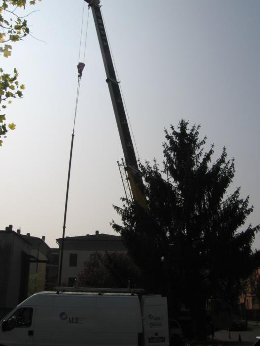 Ormig Fernando Marta