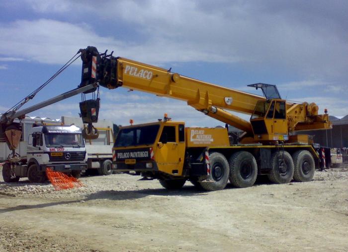 70 tonn ormig nino 80