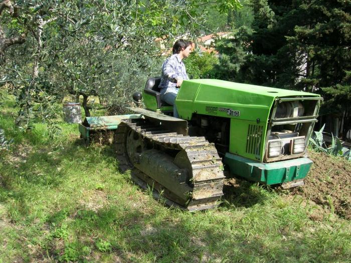 lu nipote de pietrella2