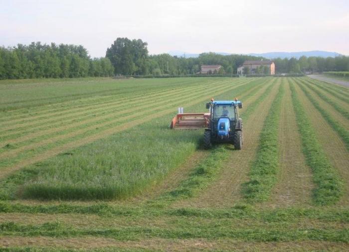 landini alpine 85 gt