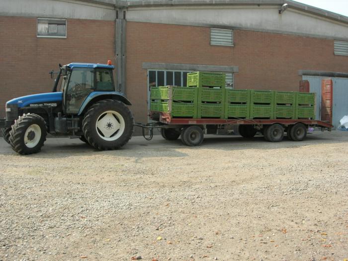 new holland tm125