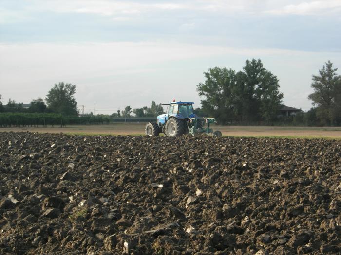 landini starland 210