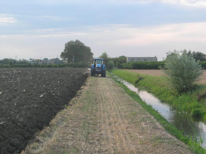 landini starland 210