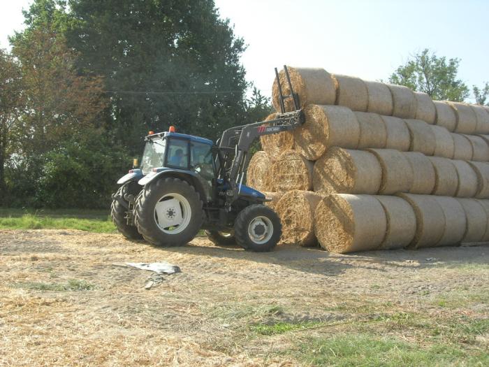 new holland tm 125