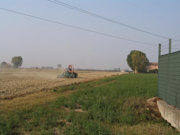 Prove Goldoni 10-10-2008
