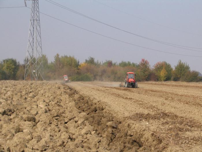 Prove Goldoni 10-10-2008