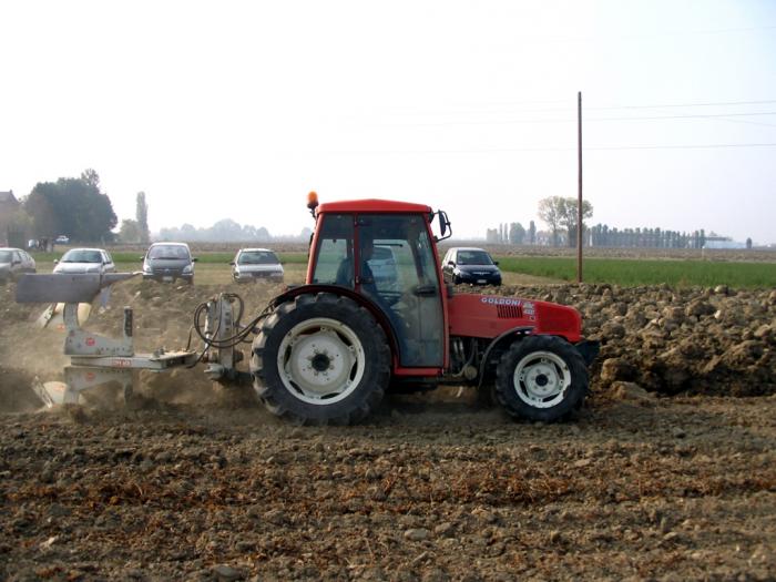 Prove Goldoni 10-10-2008