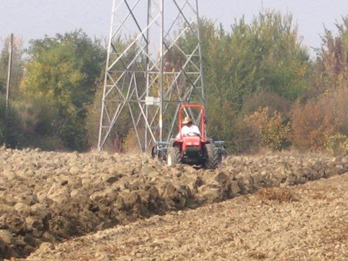 Prove Goldoni 10-10-2008
