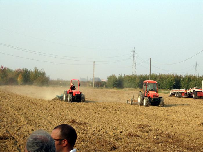 Prove Goldoni 10-10-2008