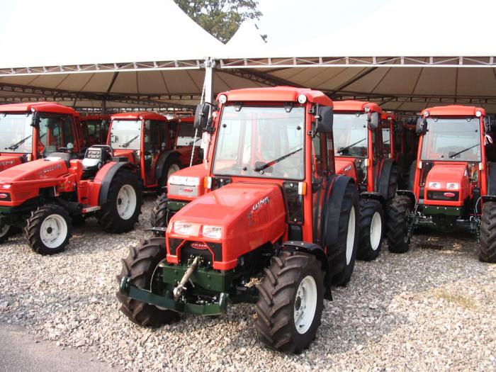 Visita Goldoni 10-10-2008