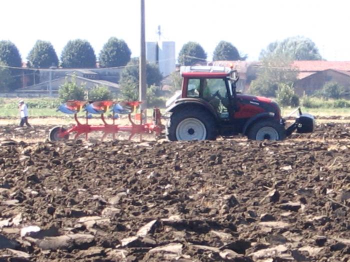 Gattatico RE 10/08/2008