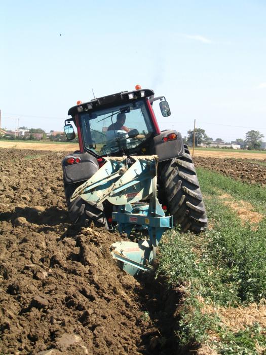 Gattatico RE 10/08/2008