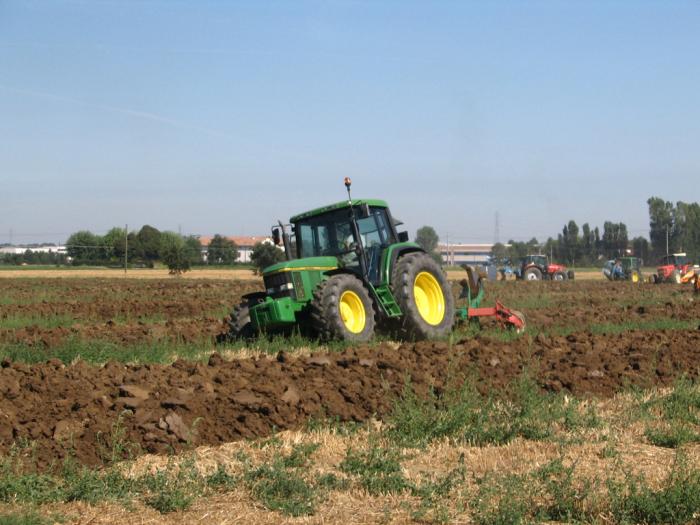 Gattatico RE 10/08/2008