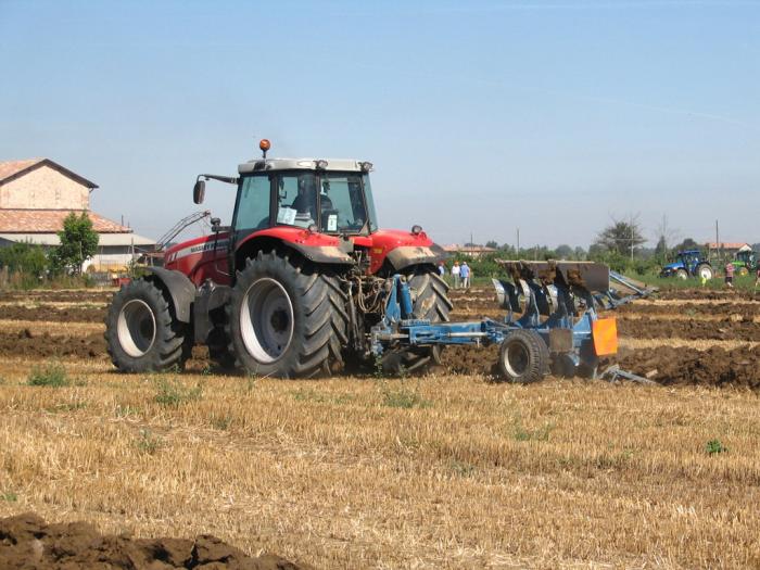 Gattatico RE 10/08/2008