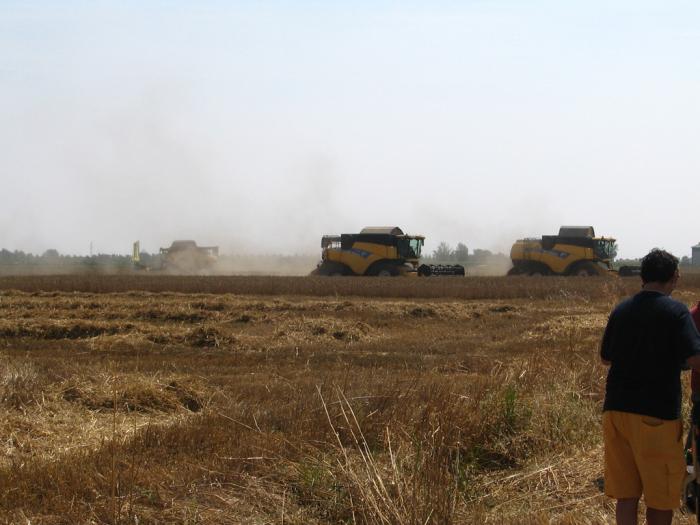 New Holland in campo Nonantola MO 1/7/07