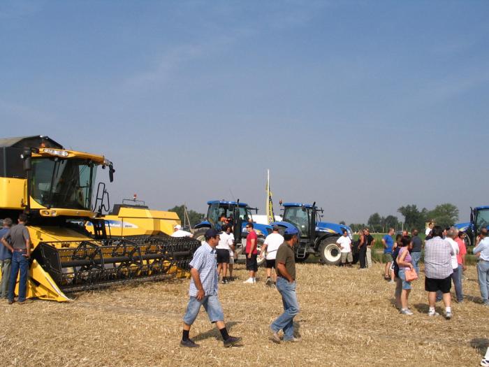 New Holland in campo Nonantola MO 1/7/07