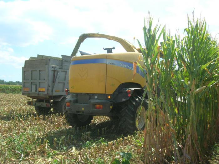 Fr 9080 al lavoro da dietro...