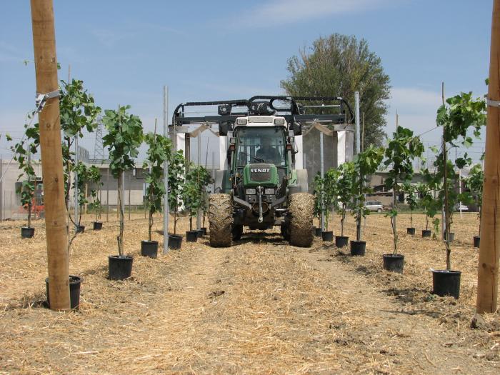 Lavorazioni vigneto
