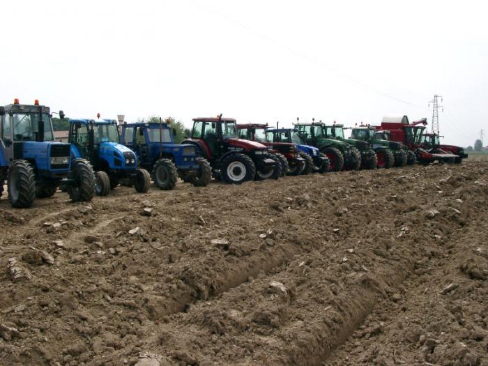 Mirano 100!!!!!!!!!!!!!!