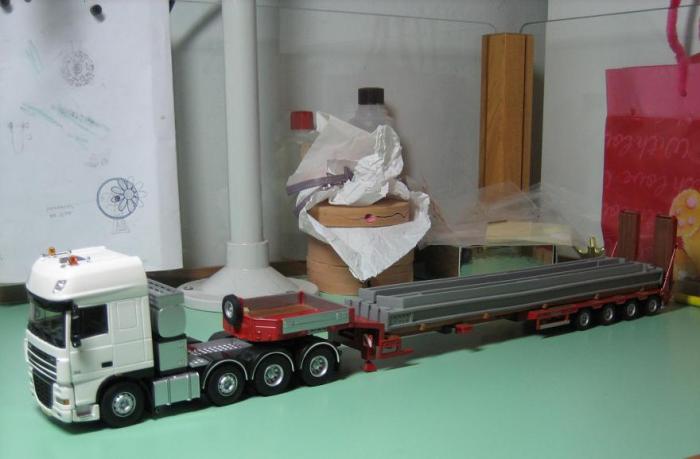 DAF 105XF 8x4 (WSImodels) + Rimorchio Tekno