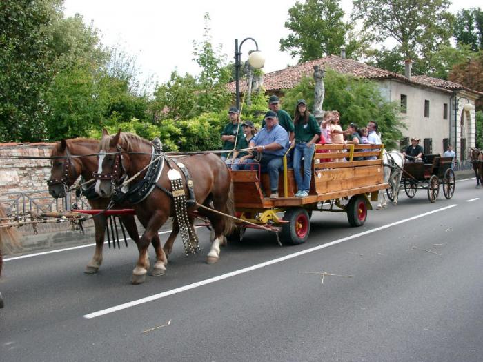 MIRANO (VE) 02/09/07