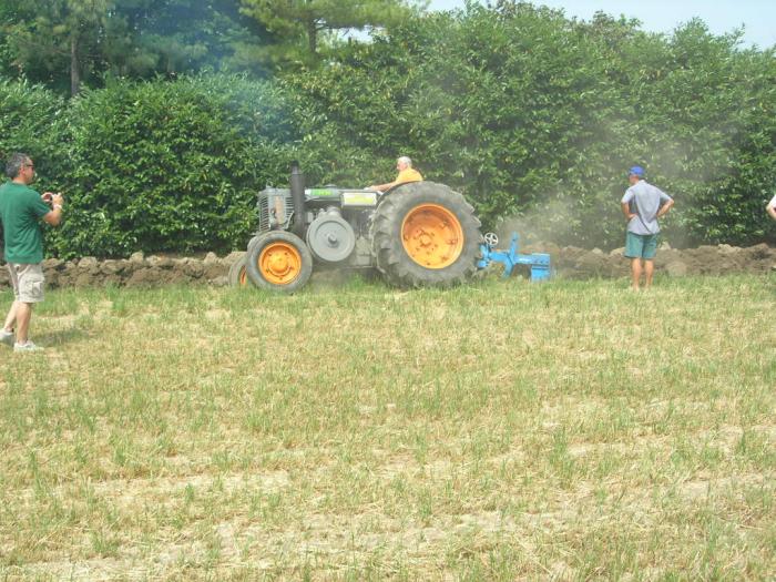 raduno Albareto (MO)