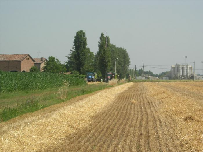 landini legend 160 e new holland m160