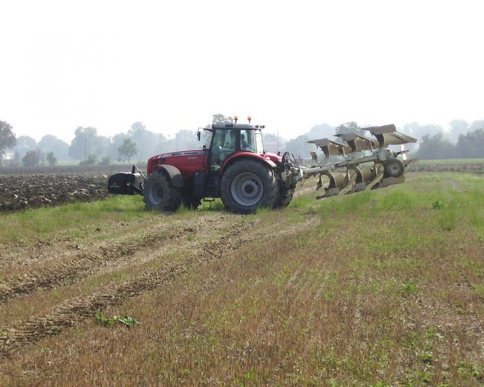 MF 8480 con aratro ermo