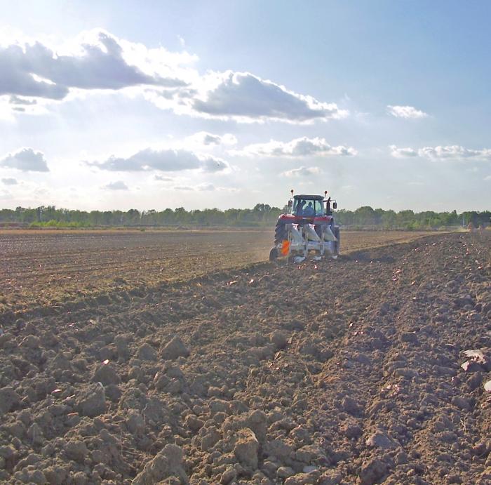 Ferguson al tramonto