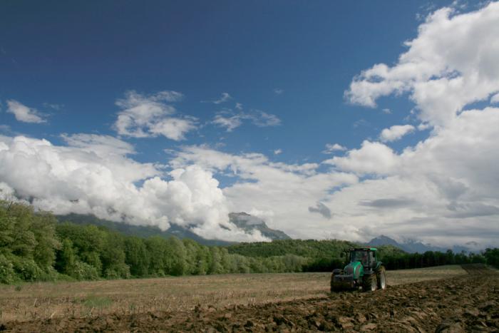 aratura sotto le dolomiti