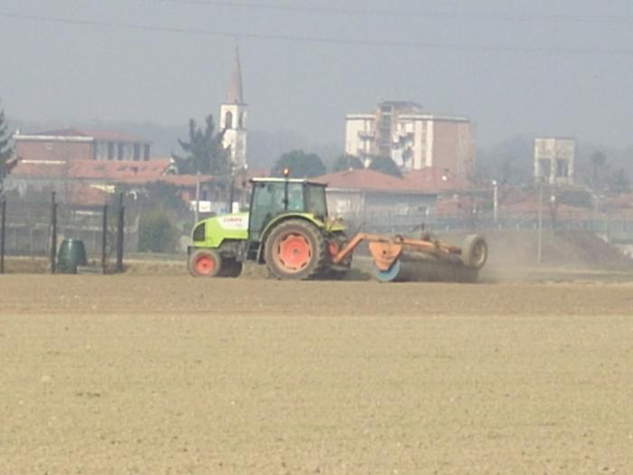 Claas Celtis 445 rullatura 1