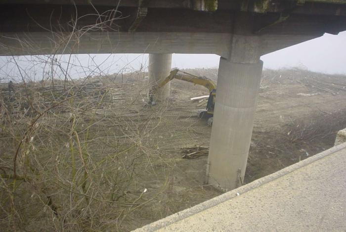 sistemazione rive Ticino(Pavia)