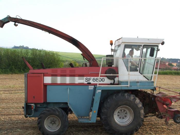 c.b. zio pino che se la ride