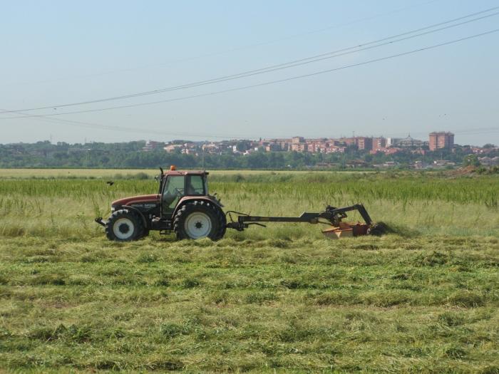 new holland M135 e falciatrice vicon ( piane campo di merlo)