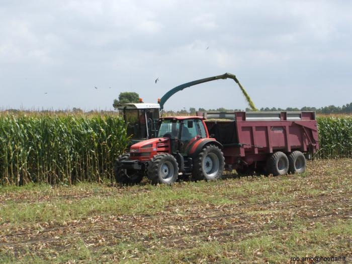 rubin 150 con dumper vaia