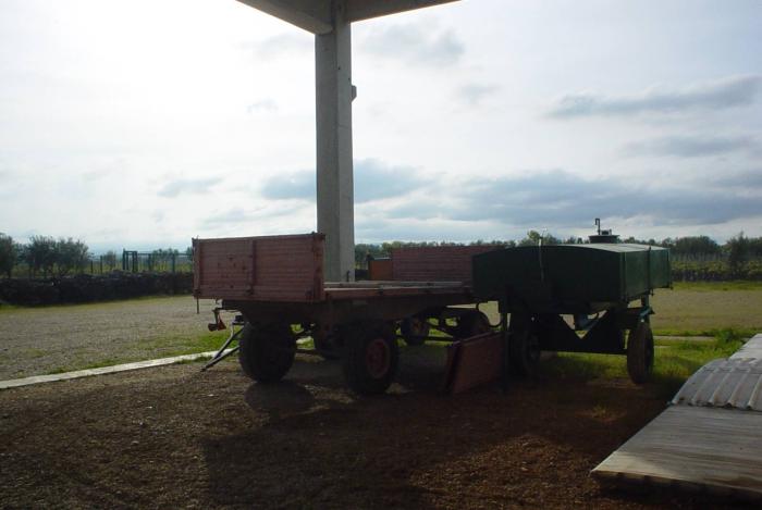 Azienda Agricola Puglise