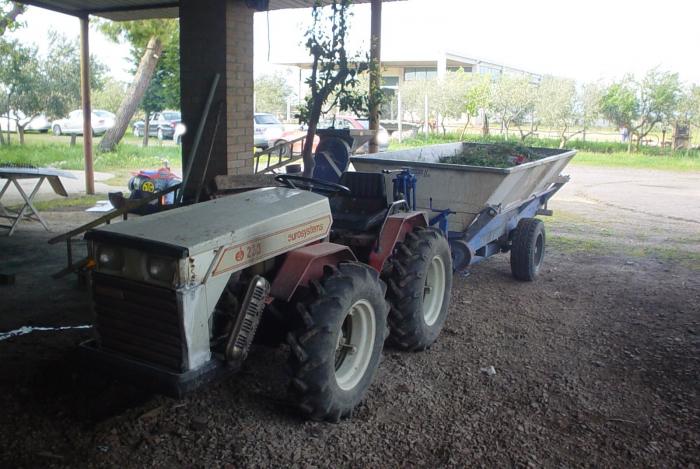 Azienda Agricola Puglise