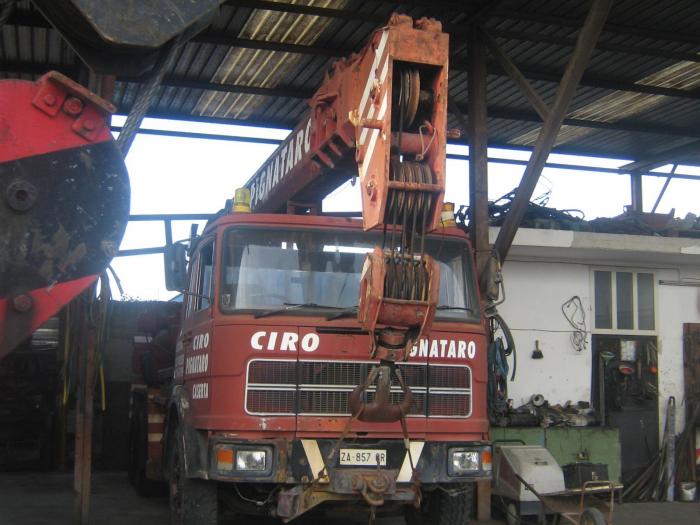 Cometto Autogru 30 Ton a.jpg