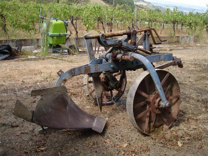 Aratro Martinelli di Manuel