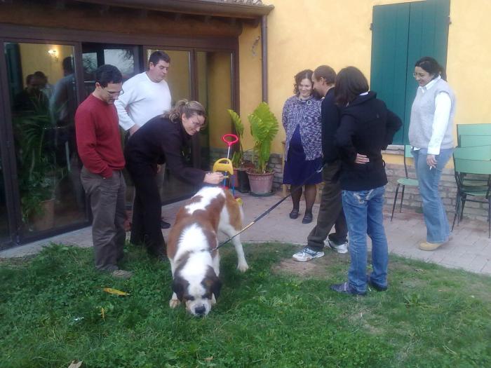 Il cane di LorenzVigna