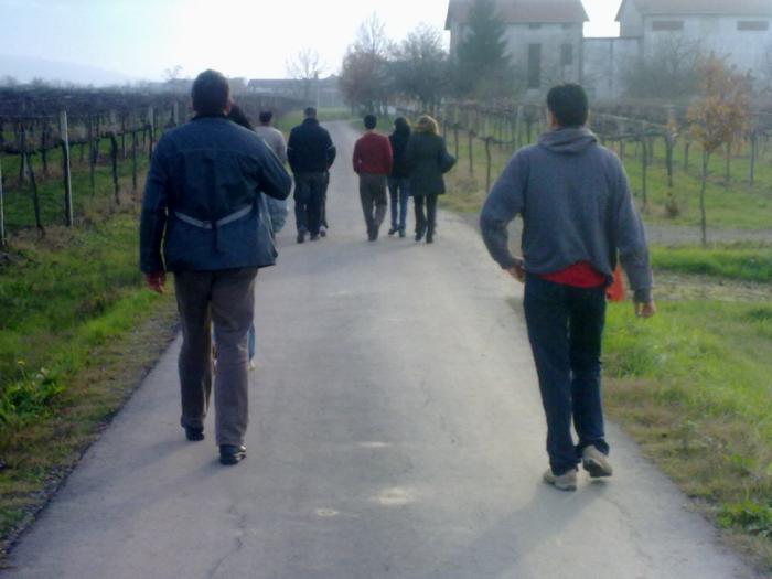 In viaggio verso il maneggio